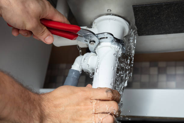 Best Local water damage restoration  in Cockeysville, MD