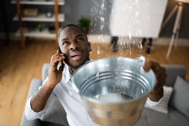  Cockeysville, MD Water damage restoration Pros