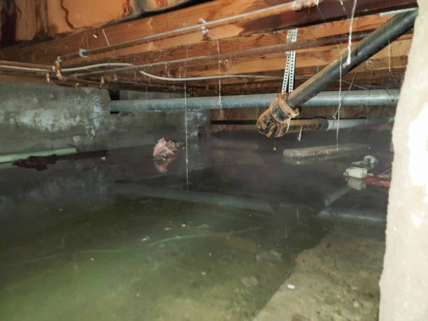 Best Water damage restoration company  in Cockeysville, MD