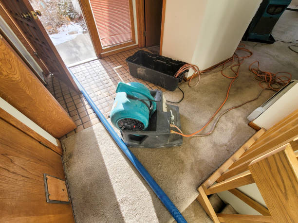 Best Water damage contractors near me  in Cockeysville, MD