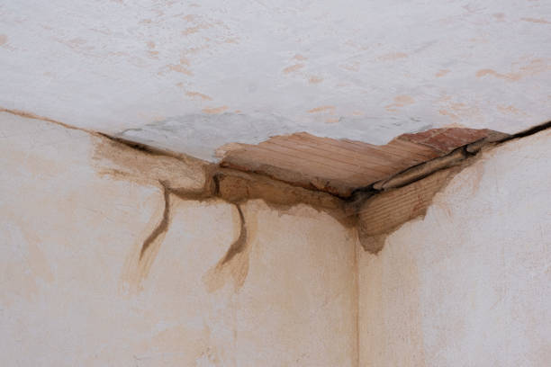 Best Water damage restoration near me  in Cockeysville, MD