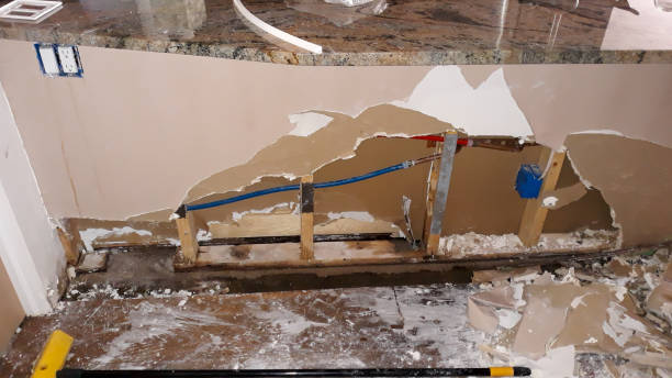 Best 24/7 water damage repair  in Cockeysville, MD