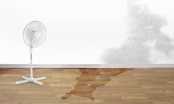 Water damage restoration insurance claims in Cockeysville, MD