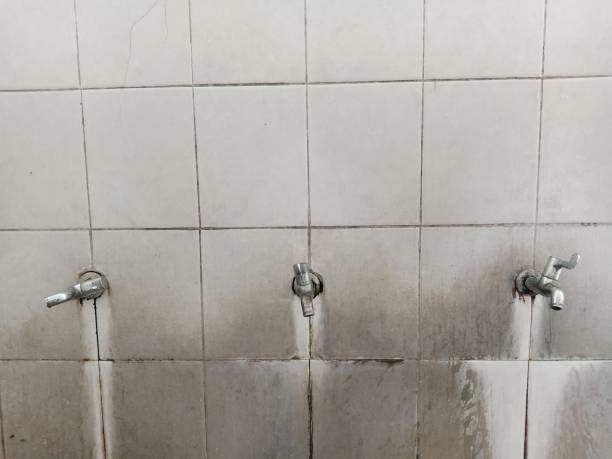 Best Carpet water damage restoration  in Cockeysville, MD