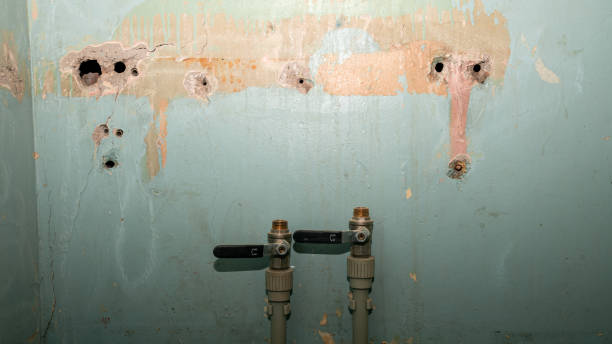 Best Mold removal after water damage  in Cockeysville, MD