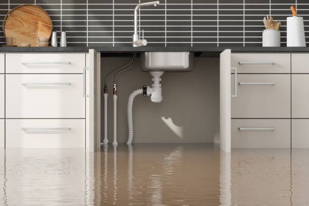 Best Water damage restoration insurance claims  in Cockeysville, MD