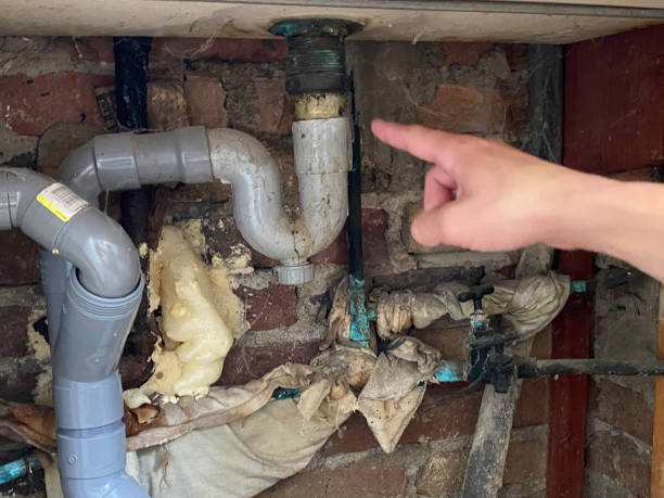 Best Water damage restoration cost  in Cockeysville, MD