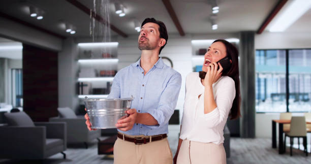 Best Water damage cleanup near me  in Cockeysville, MD